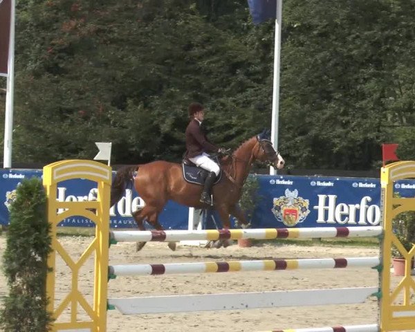 Bexter Hof Open 2014