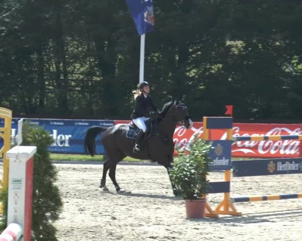 Bexter Hof Open 2014