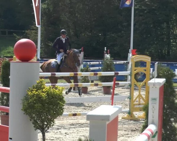 Bexter Hof Open 2014