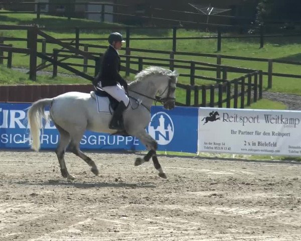 Bexter Hof Open 2014