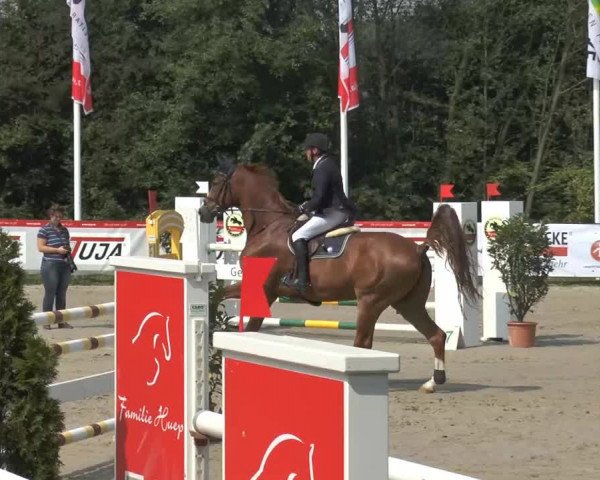 Bexter Hof Open 2014