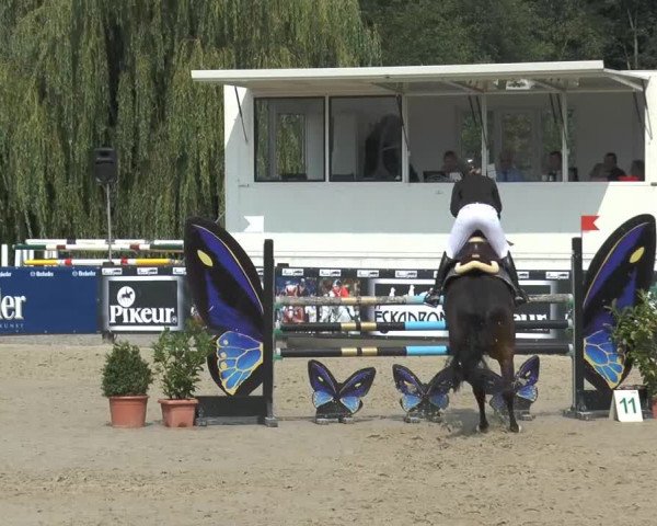 Bexter Hof Open 2014