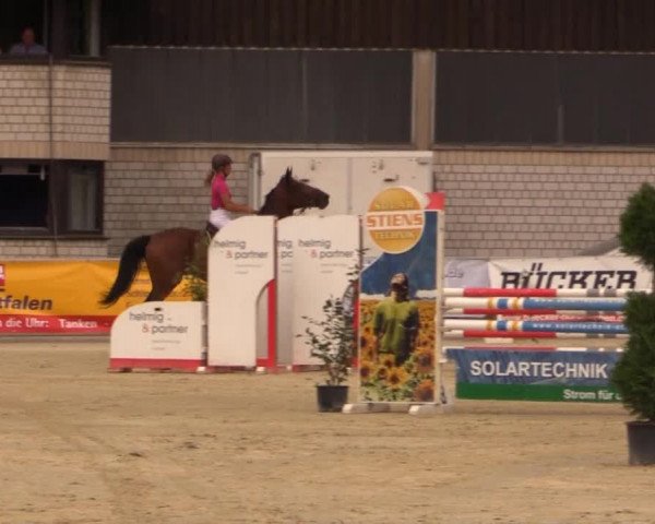 Vinnumer Reitertage 2014