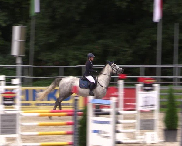 Reitturnier Langenleuba - Oberhain 2025