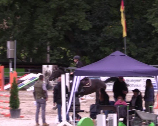 Reitturnier Langenleuba - Oberhain 2025