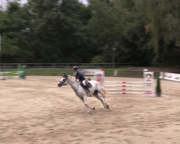 Reitturnier Langenleuba - Oberhain 2025