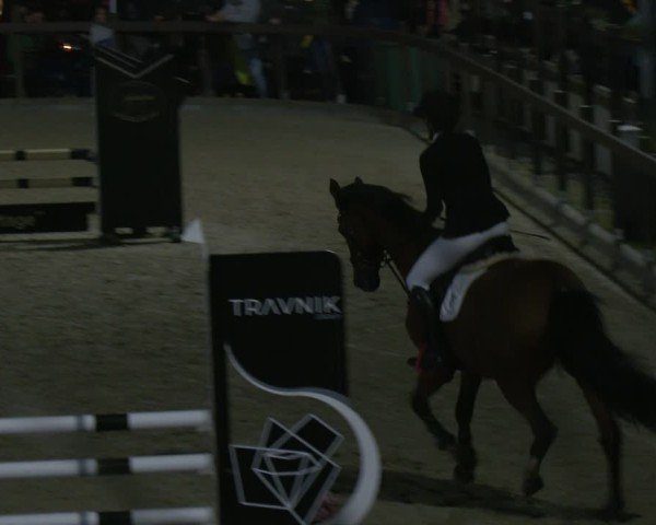 Rideturnering Leichlingen-Witzhelden 2025