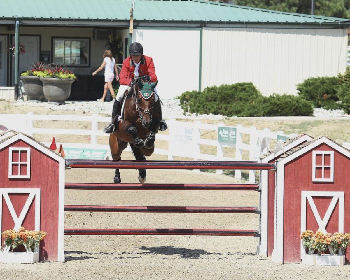 Stallion Corin 3 (Holsteiner, 2006, from Carinjo)