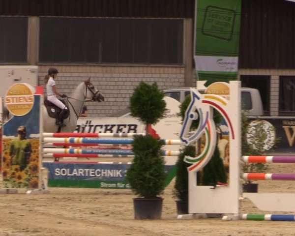 Vinnumer Reitertage 2014