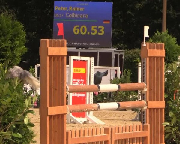 Vinnumer Reitertage 2014