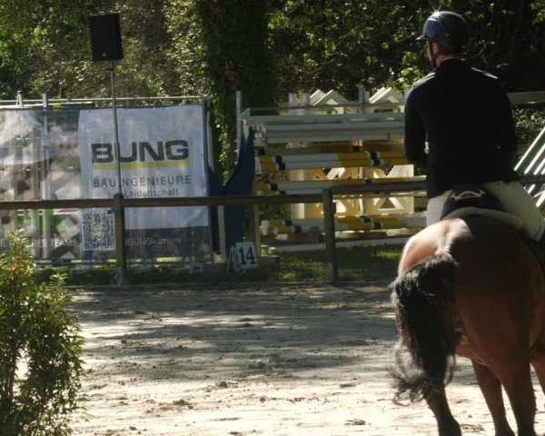 Reitturnier Walldorf 2025