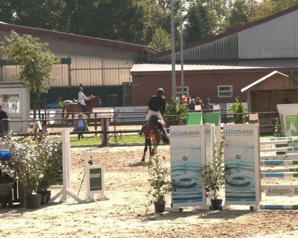 Reitturnier Albersloh 2025