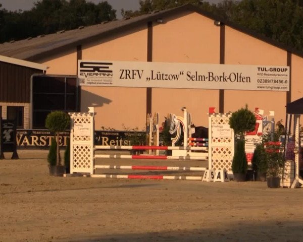 Vinnumer Reitertage 2014