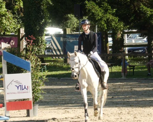 Reitturnier Walldorf 2025