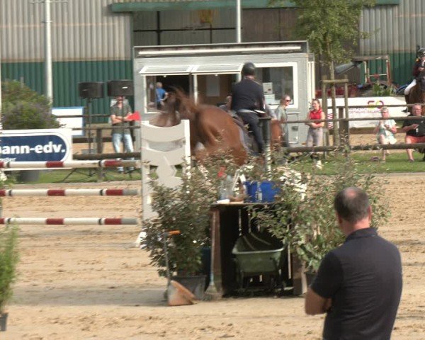 Reitturnier Albersloh 2025