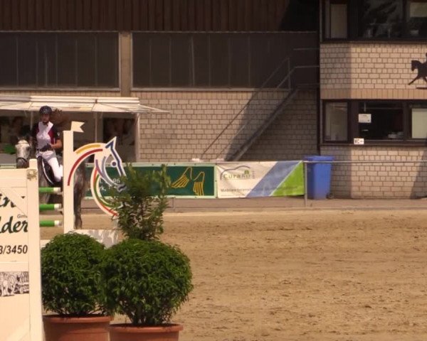 Vinnumer Reitertage 2014