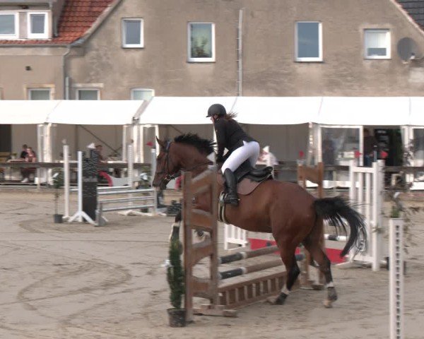 Reitturnier Buchenhof-Ibbenbüren 2025