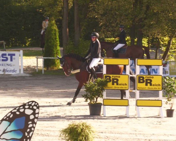 Reitturnier Richelsdorf 2025