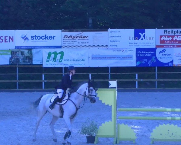 Rideturnering Sins 2025