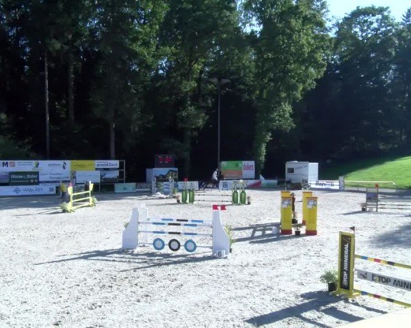 Reitturnier Sins 2025