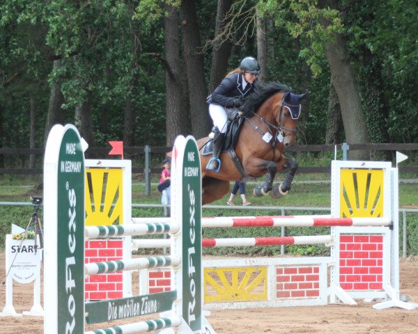 jumper Centuria 8 (Holsteiner, 2013, from Centurion)