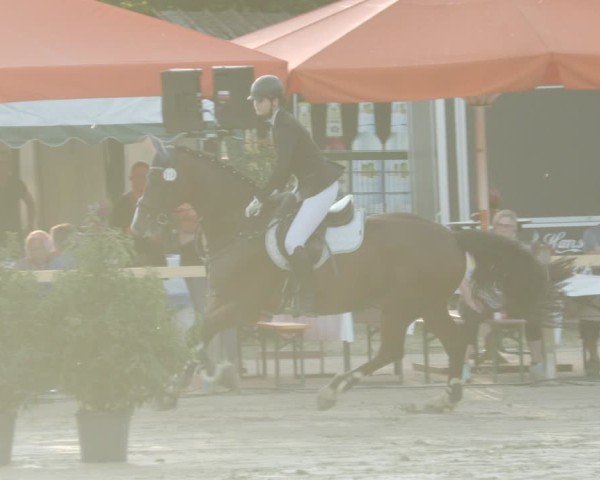 Reitturnier Walldorf 2025