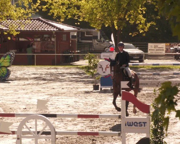 Reitturnier Richelsdorf 2025