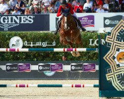 jumper Cylana (Belgian Warmblood, 2002, from Skippy II)
