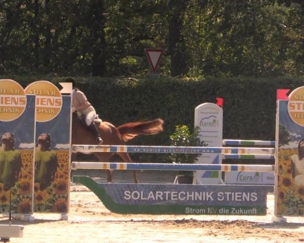 Vinnumer Reitertage 2014