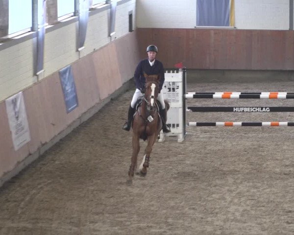 Reitturnier Grevenbroich - Gut Neuhaus 2021