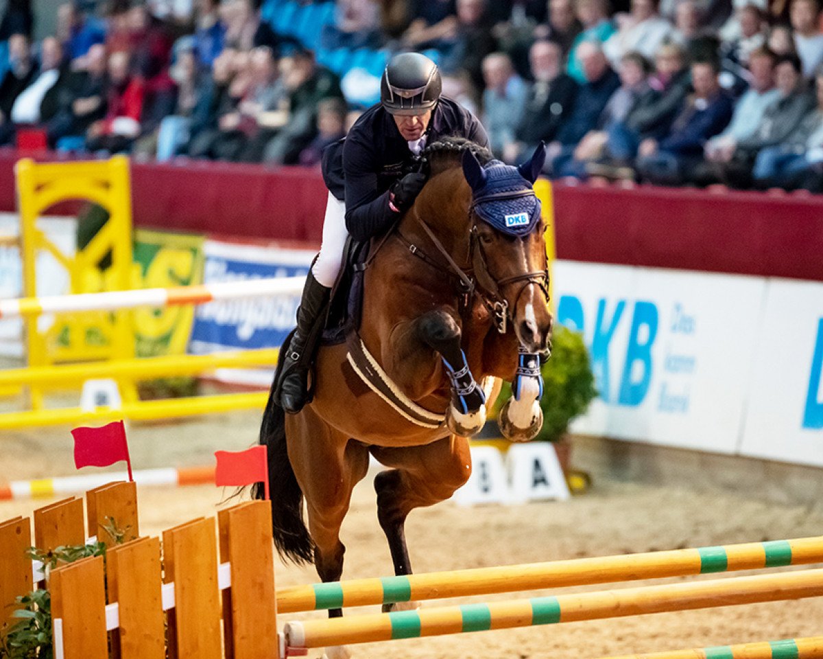 stallion Diamant de Plaisir 178 FIN (Hanoverian, 2012, from Diamant de Semilly)