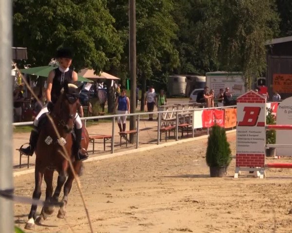 Vinnumer Reitertage 2014
