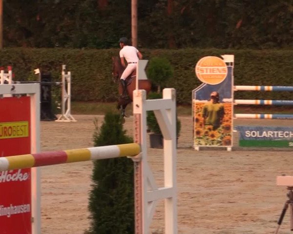 Vinnumer Reitertage 2014