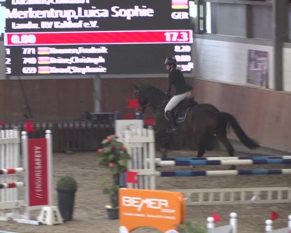 Reitturnier Grevenbroich - Gut Neuhaus 2021