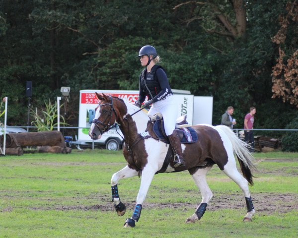 Zuchtstute Ilona 122 (KWPN (Niederländisches Warmblut), 2009)
