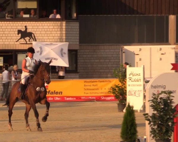 Vinnumer Reitertage 2014