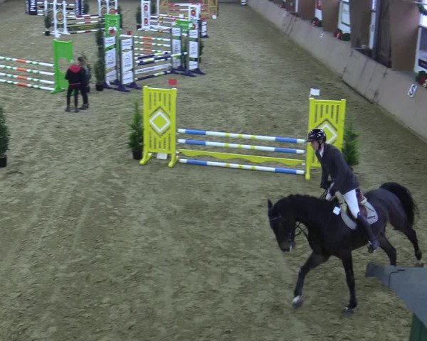 Reitturnier Bad Salzuflen 2021
