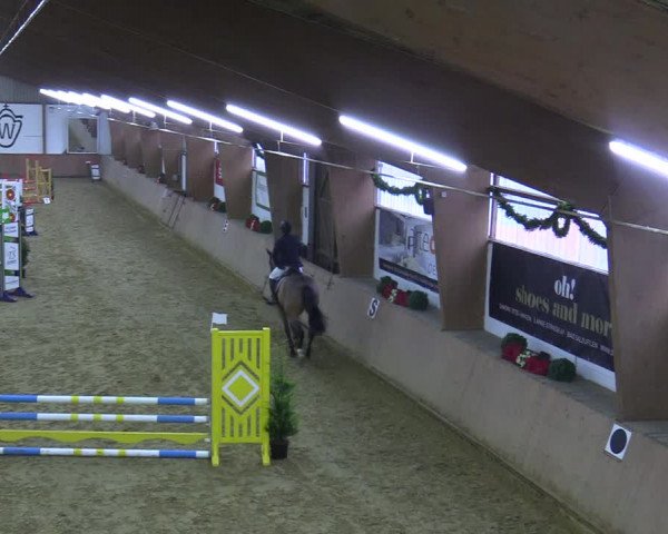 Reitturnier Bad Salzuflen 2021