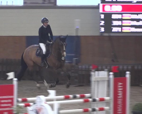 Reitturnier Grevenbroich - Gut Neuhaus 2021