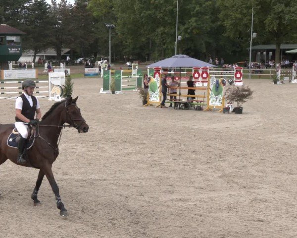 Reitturnier Barlo-Bocholt 2025