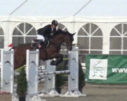 broodmare Favorite du Chateau (Selle Français, 2015, from Kannan)