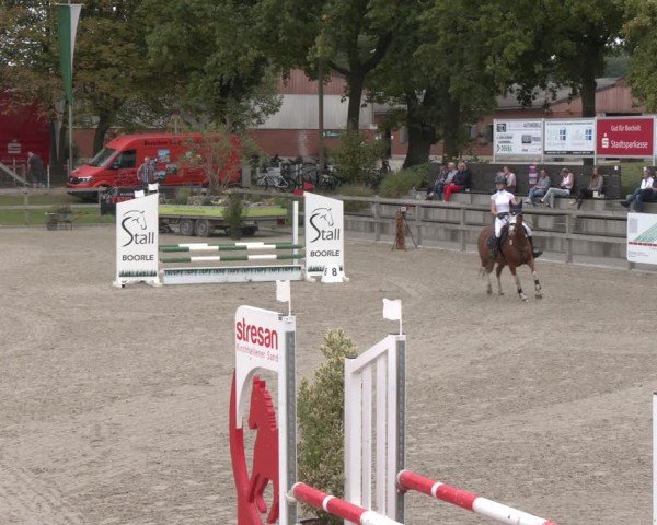 Reitturnier Barlo-Bocholt 2025