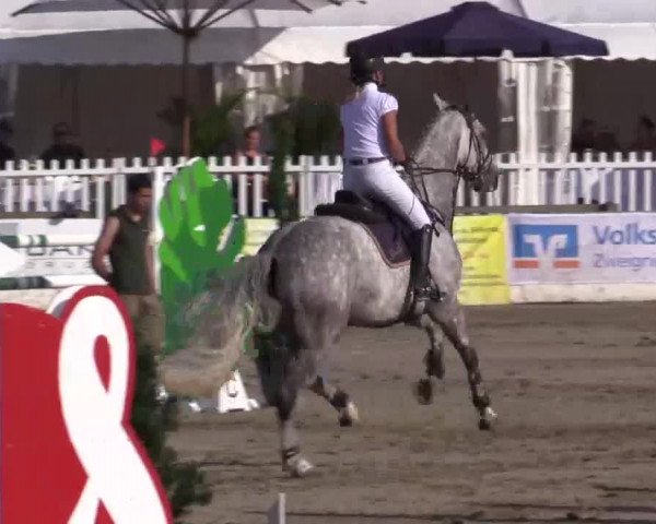 61. Lobbericher Reitsportfestival CSN