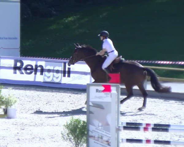 Reitturnier Sins 2025