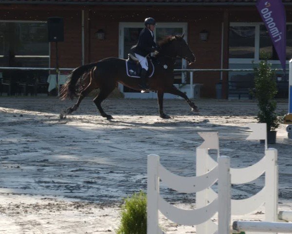 Reitturnier Richelsdorf 2025