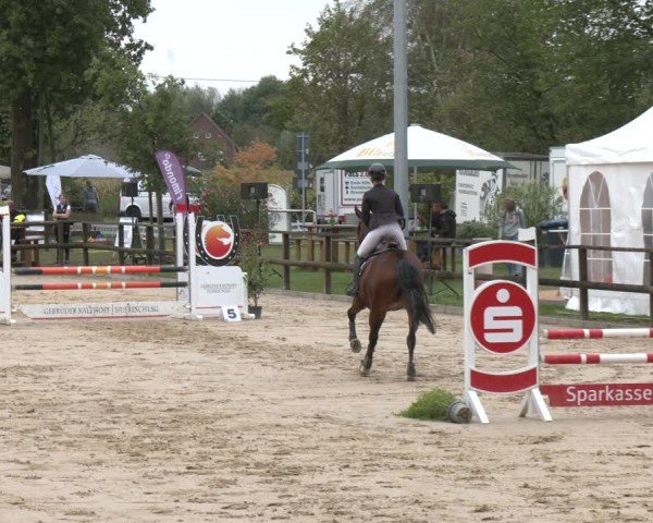 Reitturnier Albersloh 2025