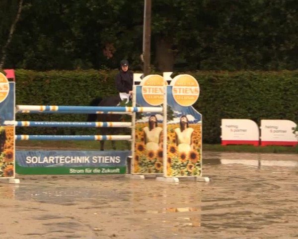 Vinnumer Reitertage 2014
