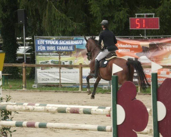 Reitturnier Walldorf 2025