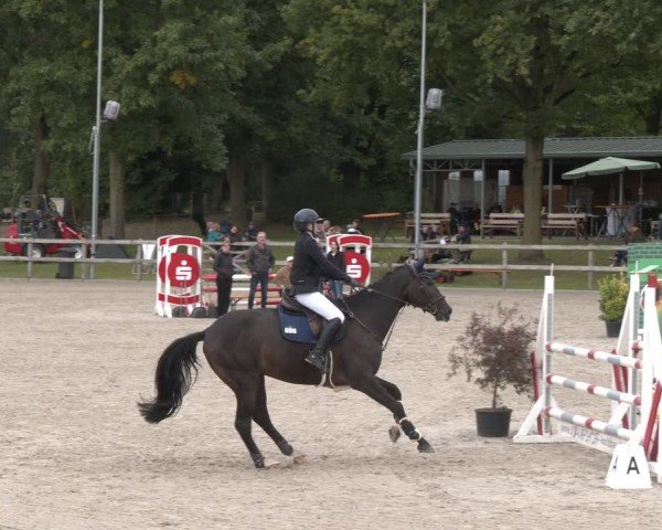 Reitturnier Barlo-Bocholt 2025