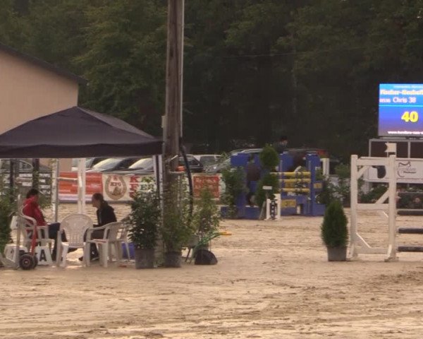 Vinnumer Reitertage 2014